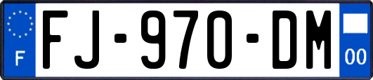 FJ-970-DM