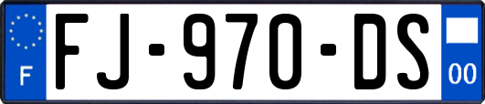 FJ-970-DS