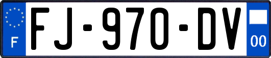 FJ-970-DV