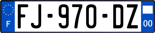 FJ-970-DZ