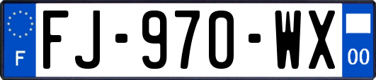 FJ-970-WX