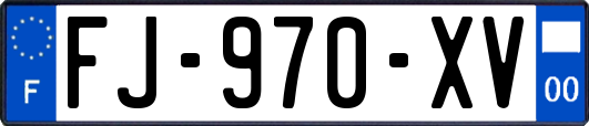FJ-970-XV