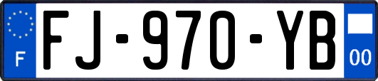 FJ-970-YB