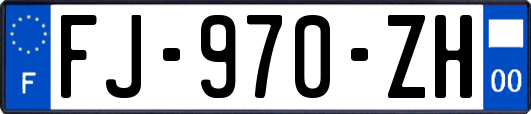 FJ-970-ZH