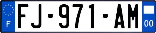FJ-971-AM