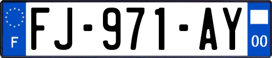 FJ-971-AY