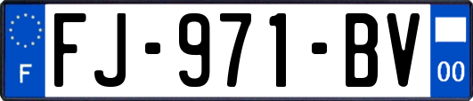 FJ-971-BV