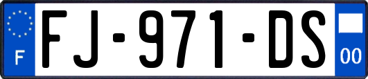 FJ-971-DS