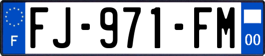 FJ-971-FM