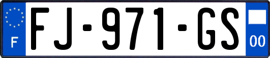 FJ-971-GS