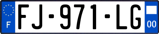 FJ-971-LG