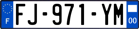 FJ-971-YM