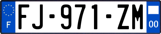 FJ-971-ZM