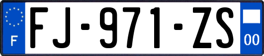 FJ-971-ZS