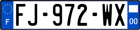 FJ-972-WX