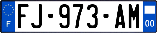 FJ-973-AM