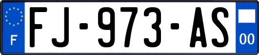 FJ-973-AS