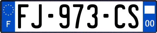 FJ-973-CS
