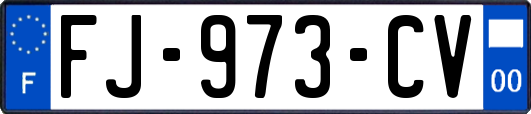 FJ-973-CV