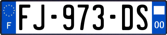 FJ-973-DS
