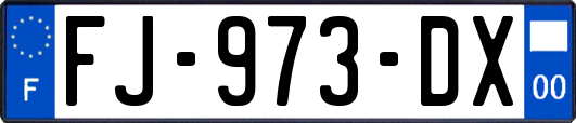 FJ-973-DX