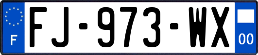 FJ-973-WX