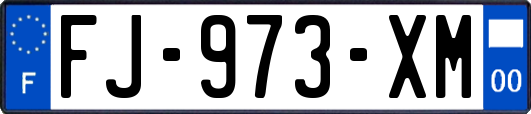 FJ-973-XM