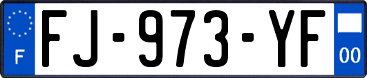 FJ-973-YF