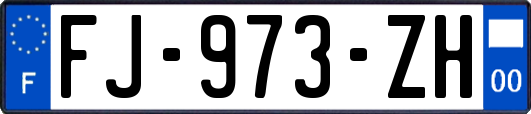 FJ-973-ZH