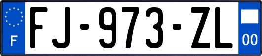 FJ-973-ZL