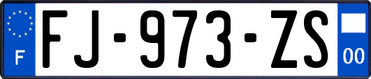 FJ-973-ZS