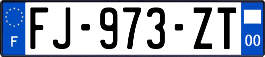 FJ-973-ZT