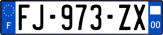 FJ-973-ZX