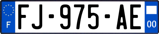 FJ-975-AE