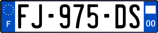 FJ-975-DS