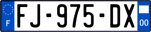FJ-975-DX