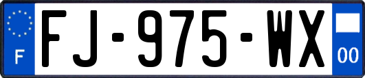 FJ-975-WX