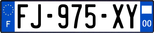 FJ-975-XY