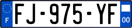 FJ-975-YF