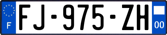 FJ-975-ZH