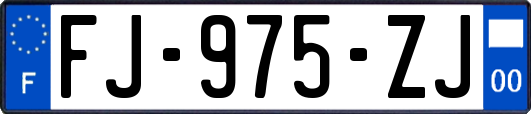 FJ-975-ZJ