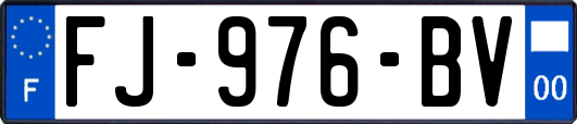 FJ-976-BV