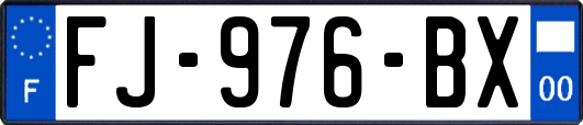 FJ-976-BX