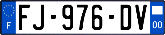 FJ-976-DV