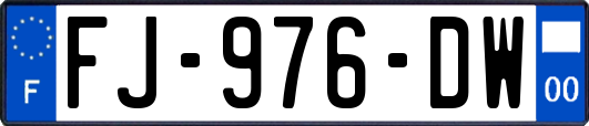 FJ-976-DW
