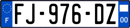 FJ-976-DZ