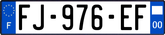 FJ-976-EF