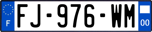 FJ-976-WM