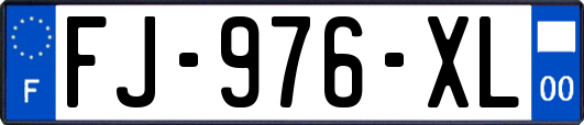 FJ-976-XL