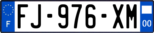 FJ-976-XM